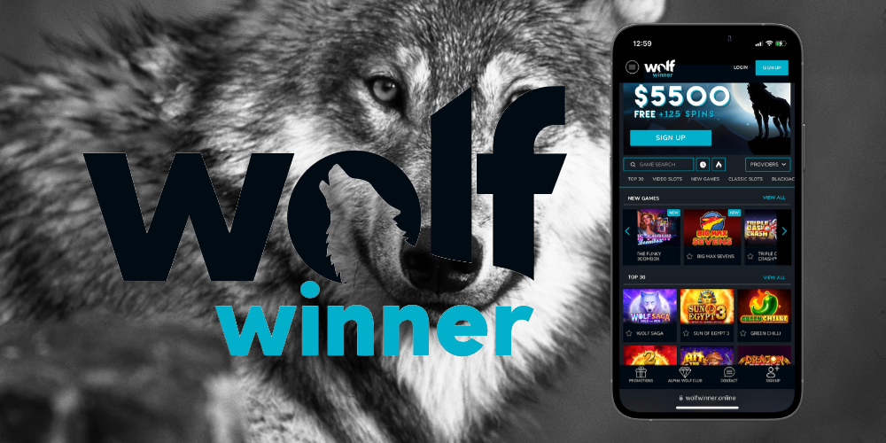 Wolf Winner Online Casino — Your Ticket to the World of Gambling